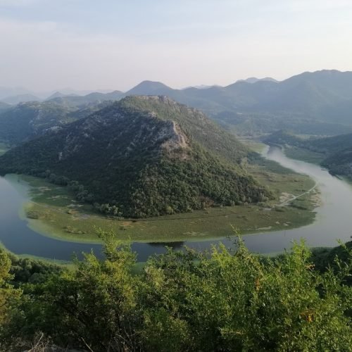 Павлова страна